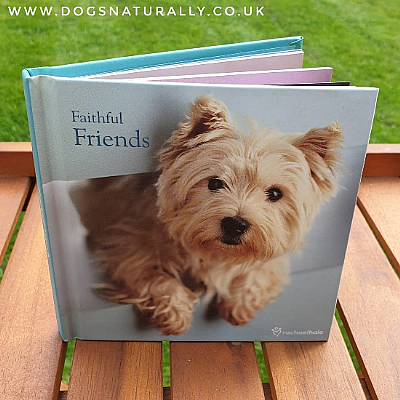 Faithful Friends Dog Lover Gift Book (Rachael Hale)